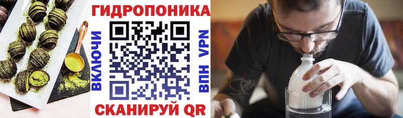 ОМГ ОМГ ССЫЛКА  цены наркотик  Фролово  Еда ТГК конопля 