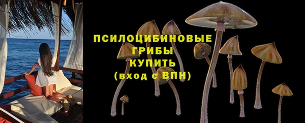 тгк Армянск
