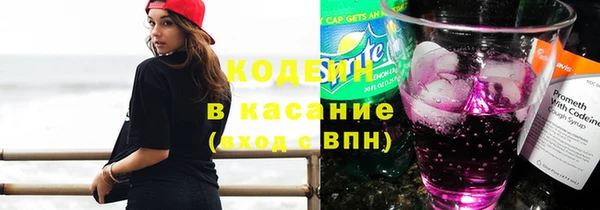 твердый Арсеньев