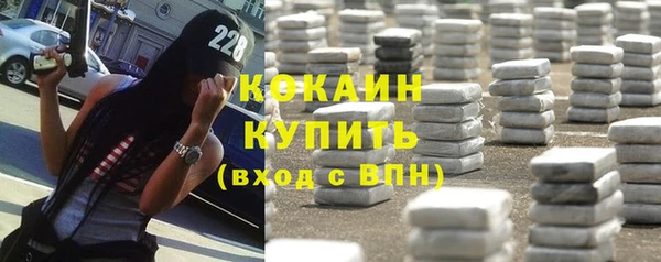 твердый Арсеньев