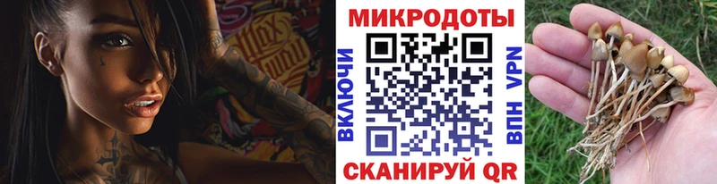 Псилоцибиновые грибы мицелий  Фролово 