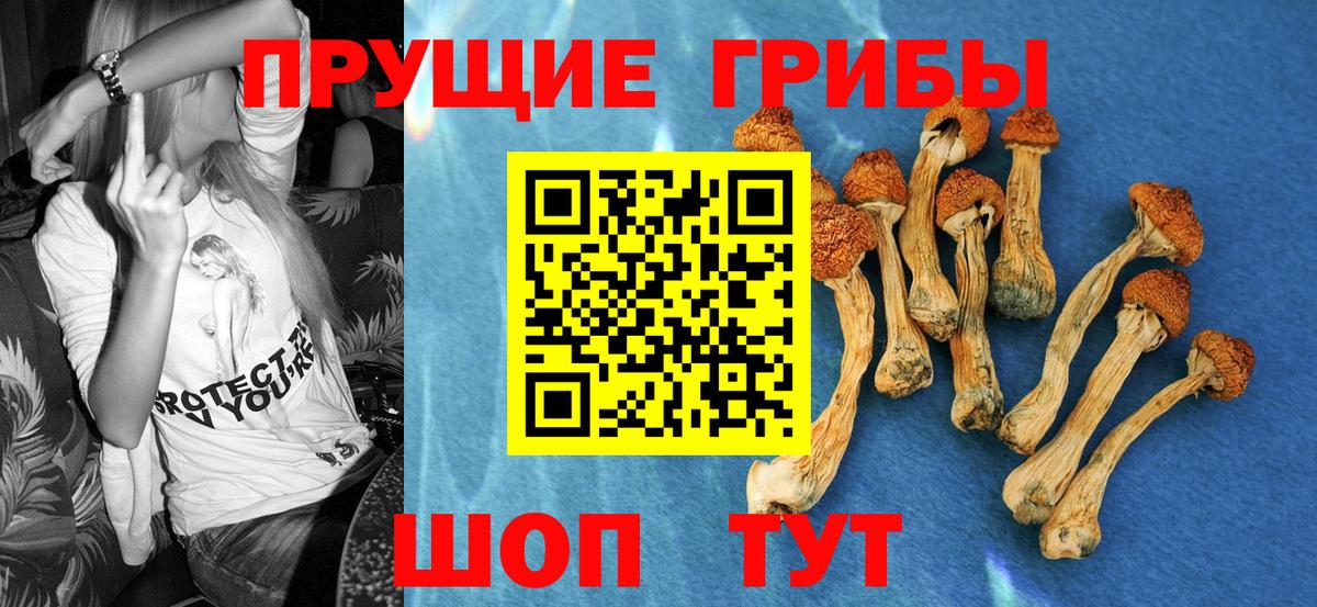 Фролово  Псилоцибиновые грибы ЛСД  Вход с VPN 